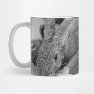 Rabbits Mug